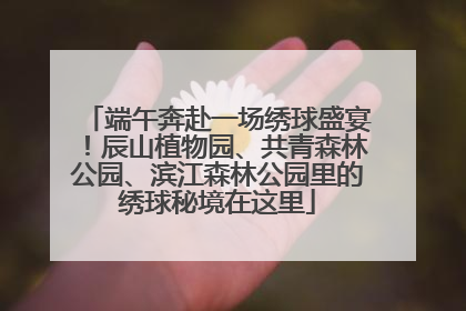端午奔赴一场绣球盛宴！辰山植物园、共青森林公园、滨江森林公园里的绣球秘境在这里