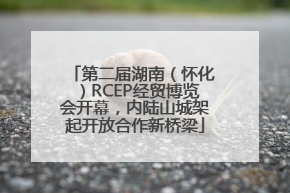 第二届湖南（怀化）RCEP经贸博览会开幕，内陆山城架起开放合作新桥梁
