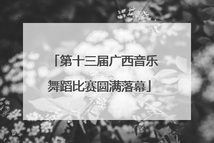 第十三届广西音乐舞蹈比赛圆满落幕