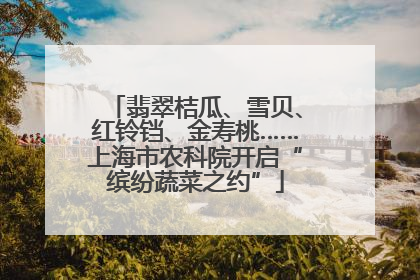 翡翠桔瓜、雪贝、红铃铛、金寿桃……上海市农科院开启“缤纷蔬菜之约”