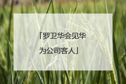 罗卫华会见华为公司客人