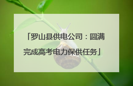 罗山县供电公司：圆满完成高考电力保供任务