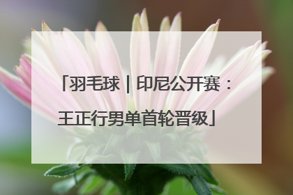 羽毛球｜印尼公开赛：王正行男单首轮晋级