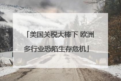 美国关税大棒下 欧洲多行业恐陷生存危机