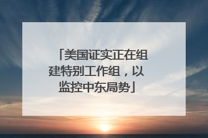 美国证实正在组建特别工作组，以监控中东局势