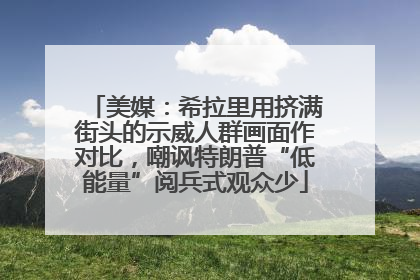 美媒：希拉里用挤满街头的示威人群画面作对比，嘲讽特朗普“低能量”阅兵式观众少