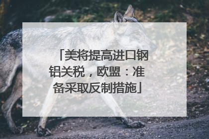 美将提高进口钢铝关税，欧盟：准备采取反制措施