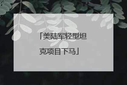 美陆军轻型坦克项目下马