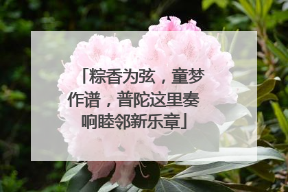 粽香为弦，童梦作谱，普陀这里奏响睦邻新乐章