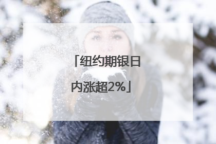 纽约期银日内涨超2%