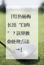 红色杨梅长出“白肉”？这里教你处理方法→