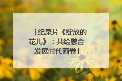 纪录片《绽放的花儿》：共绘融合发展时代画卷