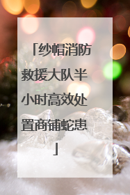 纱帽消防救援大队半小时高效处置商铺蛇患