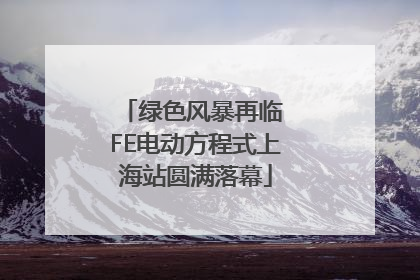 绿色风暴再临 FE电动方程式上海站圆满落幕