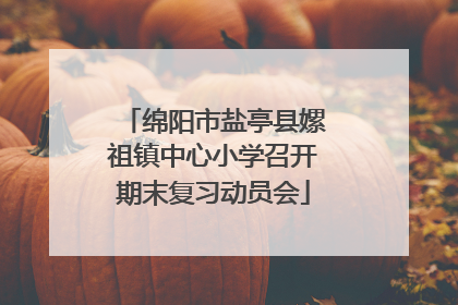 绵阳市盐亭县嫘祖镇中心小学召开期末复习动员会