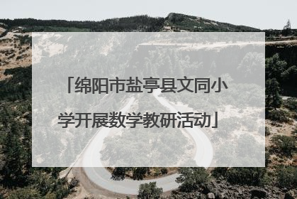 绵阳市盐亭县文同小学开展数学教研活动