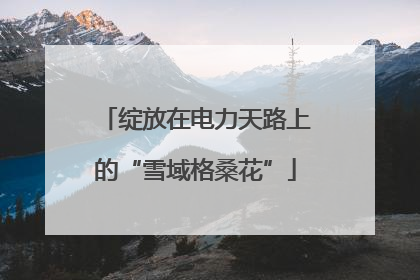 绽放在电力天路上的“雪域格桑花”