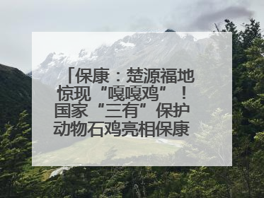保康：楚源福地惊现“嘎嘎鸡”！国家“三有”保护动物石鸡亮相保康沿河公园
