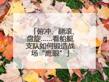 俯冲、翻滚、盘旋……看船艇支队如何锻造战场“鹰眼”