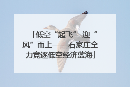 低空“起飞” 迎“风”而上——石家庄全力竞逐低空经济蓝海