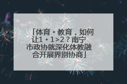 体育﹢教育，如何让1﹢1>2？南宁市政协就深化体教融合开展界别协商