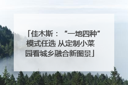 佳木斯：“一地四种” 模式任选 从定制小菜园看城乡融合新图景