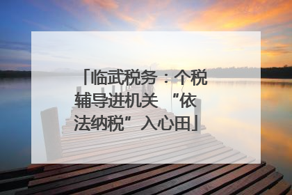 临武税务：个税辅导进机关 “依法纳税”入心田