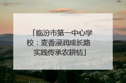 临汾市第一中心学校：麦香浸润成长路 实践传承农耕情