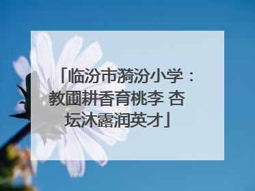 临汾市漪汾小学：教圃耕香育桃李 杏坛沐露润英才