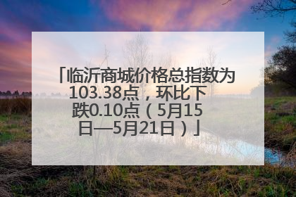 临沂商城价格总指数为103.38点，环比下跌0.10点（5月15日—5月21日）
