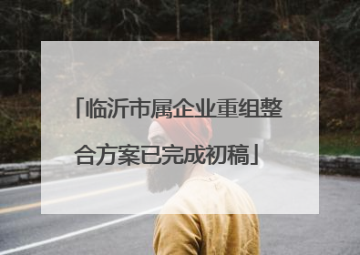 临沂市属企业重组整合方案已完成初稿