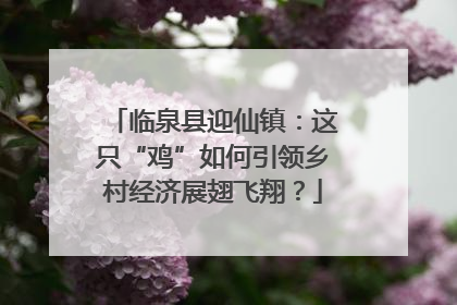 临泉县迎仙镇：这只“鸡”如何引领乡村经济展翅飞翔？