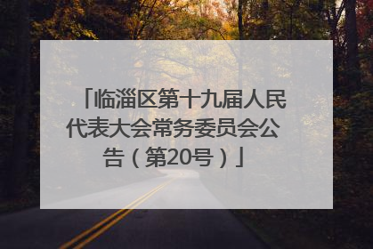 临淄区第十九届人民代表大会常务委员会公告（第20号）