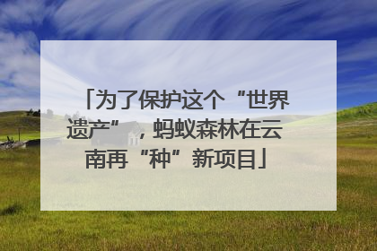 为了保护这个“世界遗产”，蚂蚁森林在云南再“种”新项目