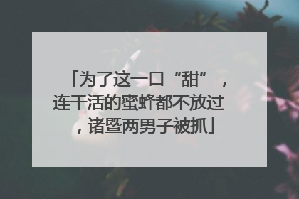 为了这一口“甜”，连干活的蜜蜂都不放过，诸暨两男子被抓