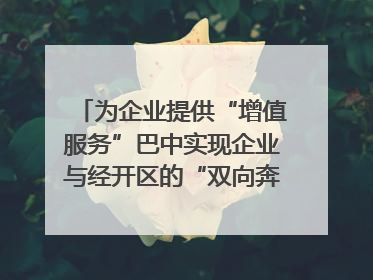 为企业提供“增值服务”巴中实现企业与经开区的“双向奔赴”｜川陕渝网络名人巴中行