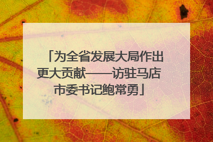 为全省发展大局作出更大贡献——访驻马店市委书记鲍常勇