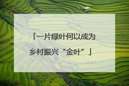 一片绿叶何以成为乡村振兴“金叶”