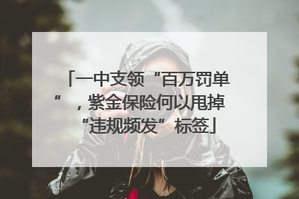 一中支领“百万罚单”，紫金保险何以甩掉“违规频发”标签