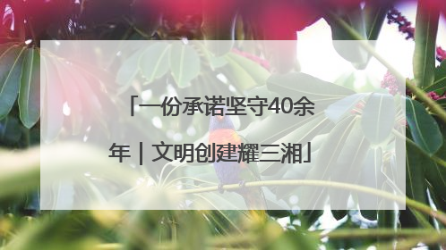 一份承诺坚守40余年｜文明创建耀三湘