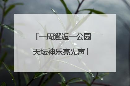 一周邂逅一公园 天坛神乐亮先声