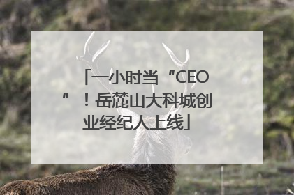 一小时当“CEO”！岳麓山大科城创业经纪人上线