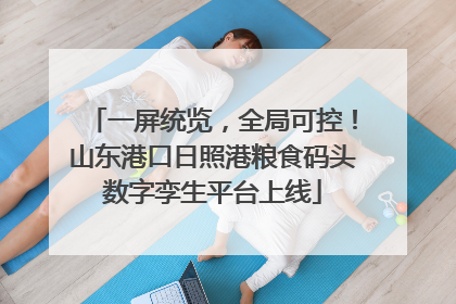 一屏统览，全局可控！山东港口日照港粮食码头数字孪生平台上线