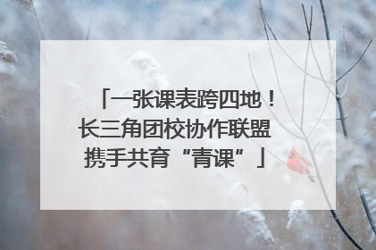 一张课表跨四地！长三角团校协作联盟携手共育“青课”