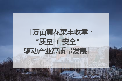 万亩黄花菜丰收季：“质量 + 安全” 驱动产业高质量发展