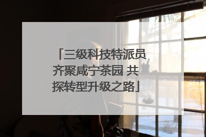 三级科技特派员齐聚咸宁茶园 共探转型升级之路