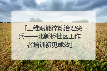 三维赋能淬炼治理尖兵——北新桥社区工作者培训初见成效