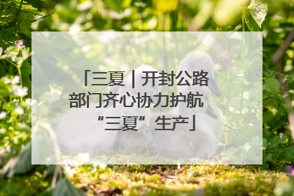 三夏｜开封公路部门齐心协力护航“三夏”生产
