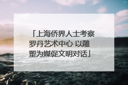 上海侨界人士考察罗丹艺术中心 以雕塑为媒促文明对话