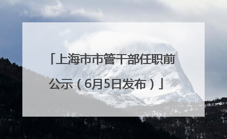 上海市市管干部任职前公示（6月5日发布）